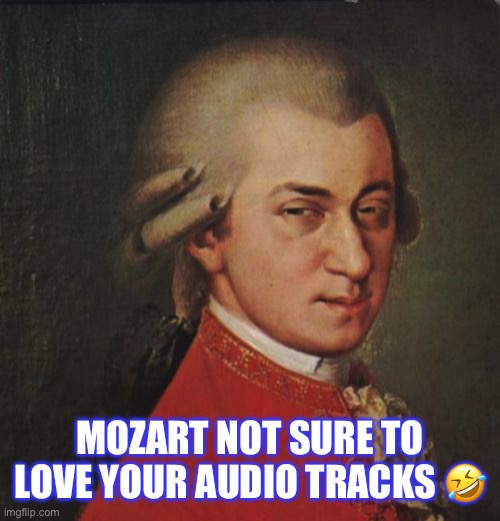 Mozart audio tracks | MOZART NOT SURE TO LOVE YOUR AUDIO TRACKS 🤣 | image tagged in memes,mozart not sure | made w/ Imgflip meme maker