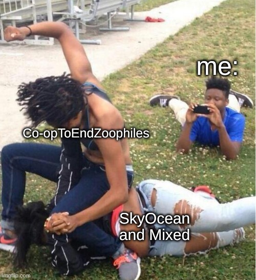 Guy recording a fight | me:; Co-opToEndZoophiles; SkyOcean and Mixed | image tagged in guy recording a fight | made w/ Imgflip meme maker