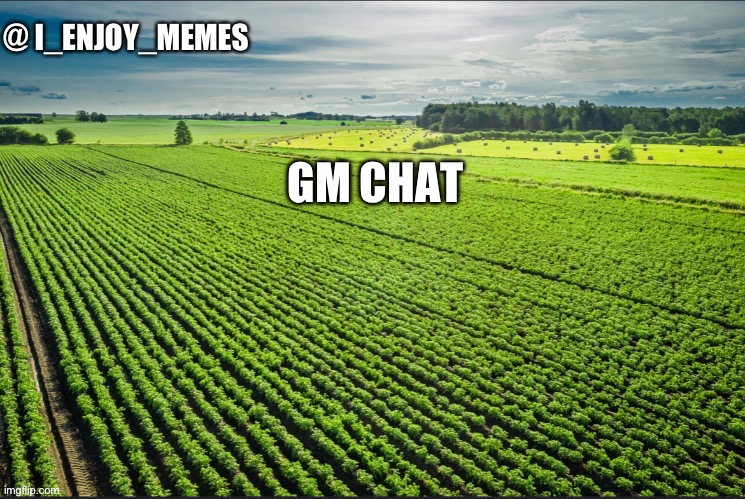 I_enjoy_memes_template | GM CHAT | image tagged in i_enjoy_memes_template | made w/ Imgflip meme maker