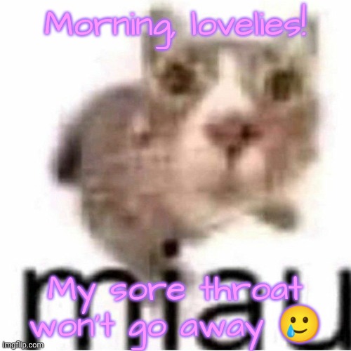 miau | Morning, lovelies! My sore throat won't go away 🥲 | image tagged in miau,lovelies | made w/ Imgflip meme maker