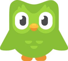 High Quality duolingo owl Blank Meme Template