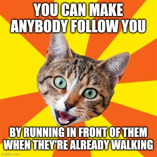 Good Idea | YOU CAN MAKE ANYBODY FOLLOW YOU; BY RUNNING IN FRONT OF THEM WHEN THEY'RE ALREADY WALKING | image tagged in memes,bad advice cat,follow me,followers,good soldiers follow orders,follow | made w/ Imgflip meme maker