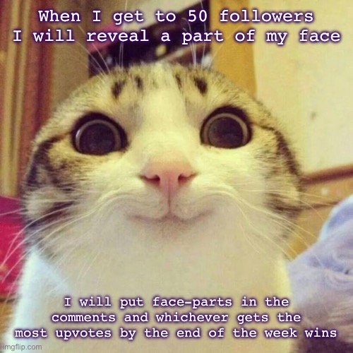 *blep* | When I get to 50 followers I will reveal a part of my face; I will put face-parts in the comments and whichever gets the most upvotes by the end of the week wins | image tagged in memes,smiling cat,face reveal | made w/ Imgflip meme maker