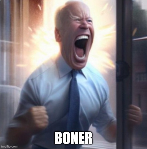 Biden Lets Go | BONER | image tagged in biden lets go | made w/ Imgflip meme maker