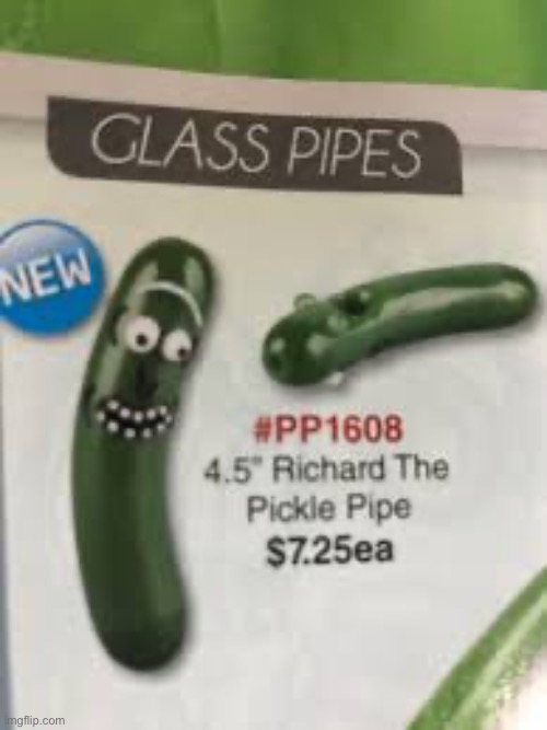 image tagged in pickle rick | made w/ Imgflip meme maker
