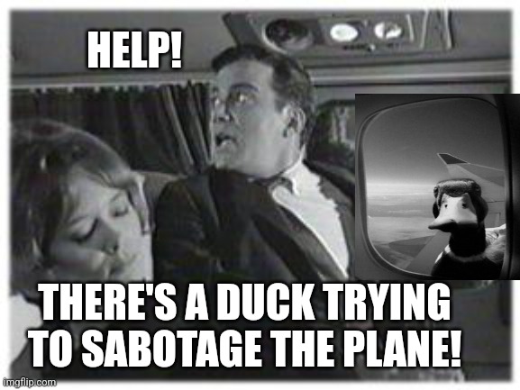 HELP! THERE'S A DUCK TRYING TO SABOTAGE THE PLANE! | made w/ Imgflip meme maker