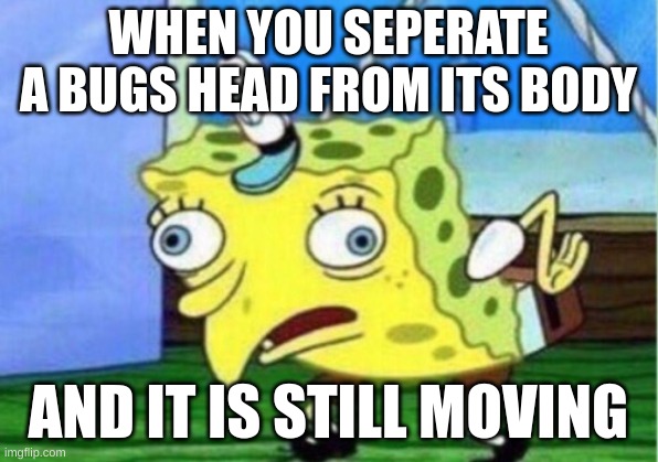Mocking Spongebob | WHEN YOU SEPERATE A BUGS HEAD FROM ITS BODY; AND IT IS STILL MOVING | image tagged in memes,mocking spongebob | made w/ Imgflip meme maker