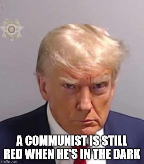 Donald Trump Mugshot | A COMMUNIST IS STILL RED WHEN HE'S IN THE DARK | image tagged in donald trump mugshot | made w/ Imgflip meme maker