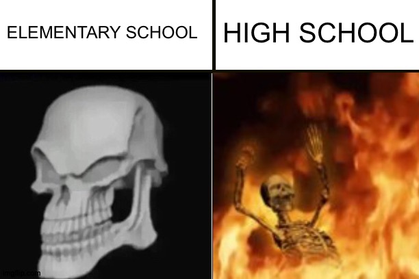 Skeleton | HIGH SCHOOL; ELEMENTARY SCHOOL | image tagged in skeleton,school,high school | made w/ Imgflip meme maker