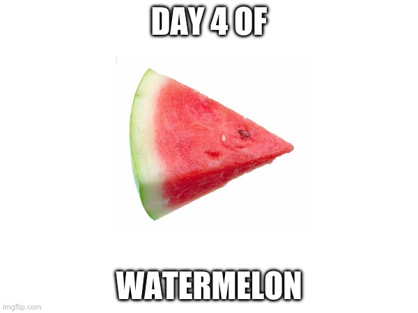 :)) | DAY 4 OF; WATERMELON | image tagged in watermelon | made w/ Imgflip meme maker