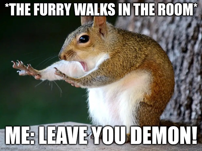 Super squirrel | *THE FURRY WALKS IN THE ROOM*; ME: LEAVE YOU DEMON! | image tagged in super squirrel | made w/ Imgflip meme maker