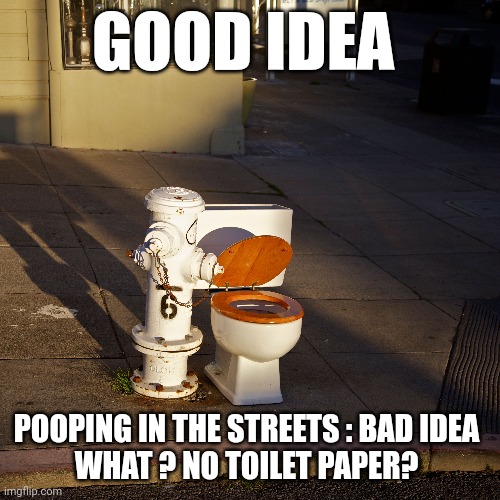 pooping in the streetv | GOOD IDEA; POOPING IN THE STREETS : BAD IDEA 
WHAT ? NO TOILET PAPER? | image tagged in toilet humor | made w/ Imgflip meme maker