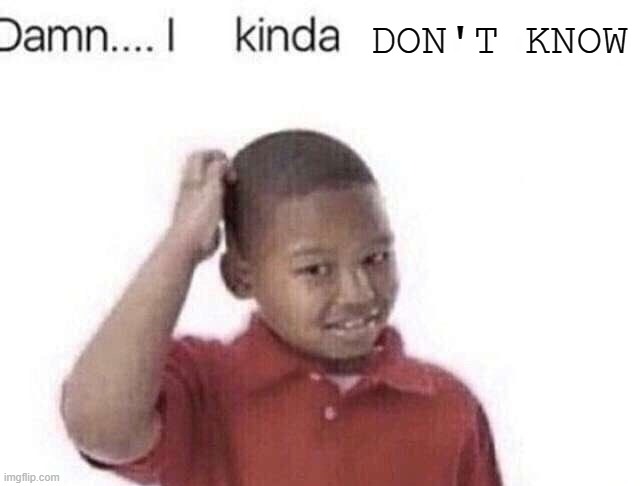 Damn I kinda don’t meme | DON'T KNOW | image tagged in damn i kinda don t meme | made w/ Imgflip meme maker