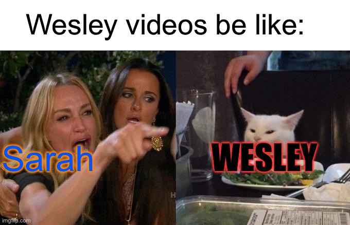 Woman Yelling At Cat | Wesley videos be like:; WESLEY; Sarah | image tagged in memes,woman yelling at cat | made w/ Imgflip meme maker