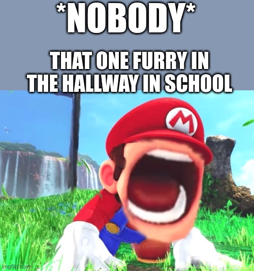 Mario screaming | *NOBODY*; THAT ONE FURRY IN THE HALLWAY IN SCHOOL | image tagged in mario screaming,funny,school | made w/ Imgflip meme maker