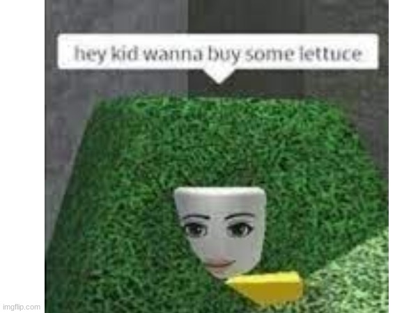 ₕₑy ₖᵢd wₐₙₙₐ bᵤy ₛₒₘₑ ₗₑₜₜᵤcₑ ಠ◡ಠ | image tagged in cursed image,cursed,roblox,cursed roblox image,lettuce | made w/ Imgflip meme maker
