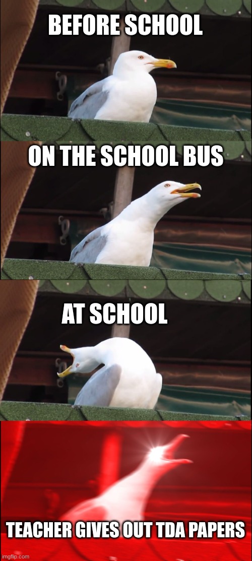 Inhaling Seagull | BEFORE SCHOOL; ON THE SCHOOL BUS; AT SCHOOL; TEACHER GIVES OUT TDA PAPERS | image tagged in memes,inhaling seagull | made w/ Imgflip meme maker