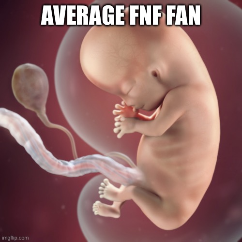 You asked for it @ ILDWTDhasAbrain | AVERAGE FNF FAN | image tagged in 10 week fetus | made w/ Imgflip meme maker