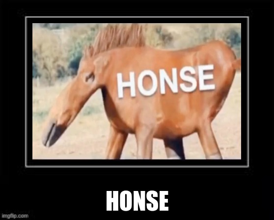 honse. | HONSE | image tagged in black box meme,idk | made w/ Imgflip meme maker