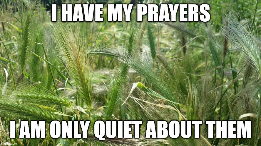I HAVE MY PRAYERS; I AM ONLY QUIET ABOUT THEM | image tagged in prayers | made w/ Imgflip meme maker