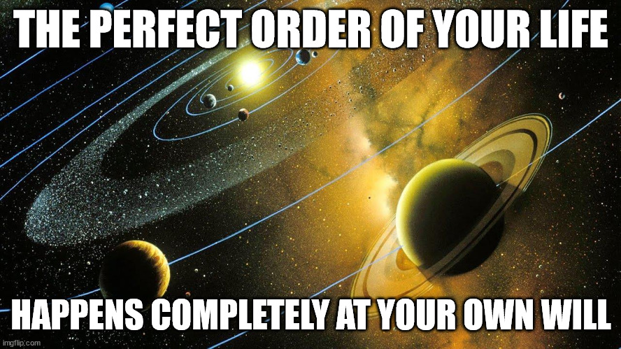 THE PERFECT ORDER OF YOUR LIFE; HAPPENS COMPLETELY AT YOUR OWN WILL | image tagged in life,will,order | made w/ Imgflip meme maker