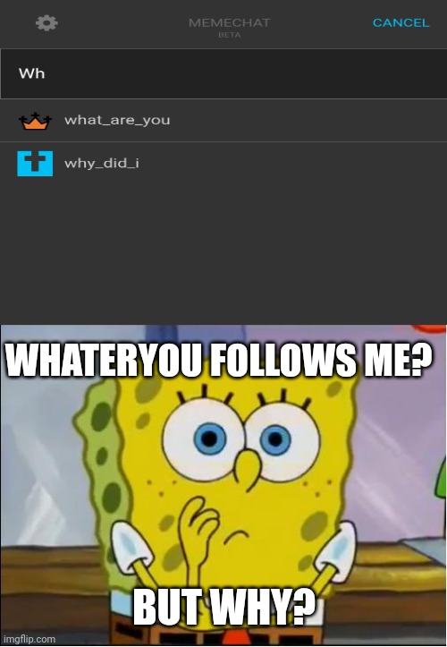 Huh? | WHATERYOU FOLLOWS ME? BUT WHY? | image tagged in spongebob confused face,memes,confused | made w/ Imgflip meme maker
