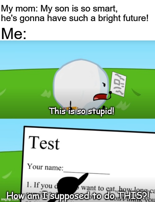 source: BFDI 3 | My mom: My son is so smart, he's gonna have such a bright future! Me:; This is so stupid! How am I supposed to do THIS?! | image tagged in bfdi,mom,memes,funny memes | made w/ Imgflip meme maker