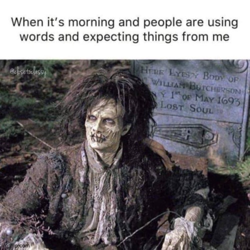 WHEN IT’S MORNING AND PEOPLE ARE USING WORDS AND EXPECTATING THINGS FROM ME | image tagged in funny,memes,morning | made w/ Imgflip meme maker