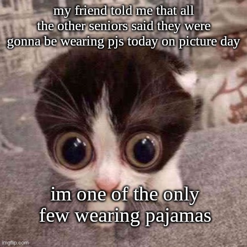 she was going to, but her mom wouldnt let her | my friend told me that all the other seniors said they were gonna be wearing pjs today on picture day; im one of the only few wearing pajamas | image tagged in cat | made w/ Imgflip meme maker