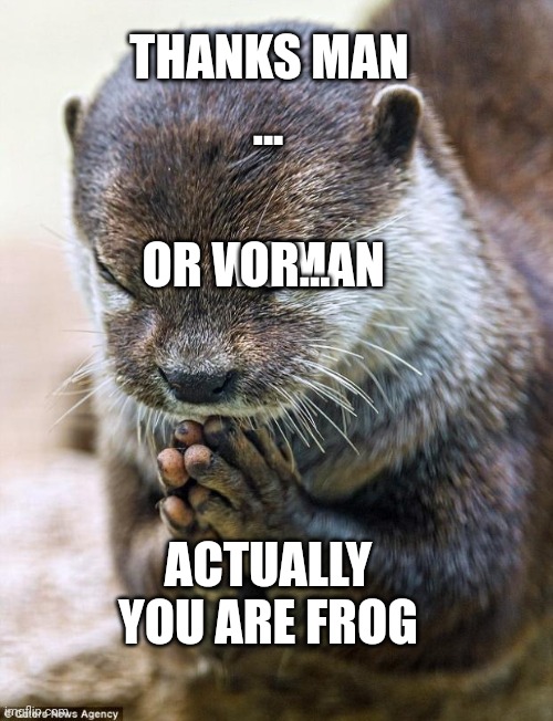 THANKS MAN OR WOMAN ACTUALLY YOU ARE FROG ... OR... | image tagged in thank you lord otter | made w/ Imgflip meme maker
