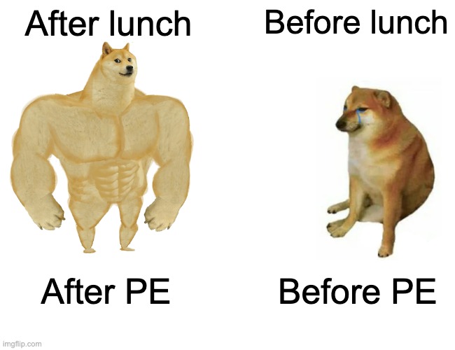 Power up | After lunch; Before lunch; After PE; Before PE | image tagged in memes,buff doge vs cheems | made w/ Imgflip meme maker
