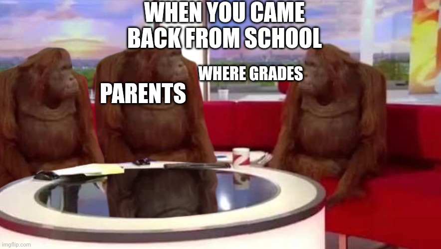 Probably not a very good meme, but I have to start from somewhere | WHEN YOU CAME BACK FROM SCHOOL; PARENTS; WHERE GRADES | image tagged in where monkey,school memes,parents be like | made w/ Imgflip meme maker