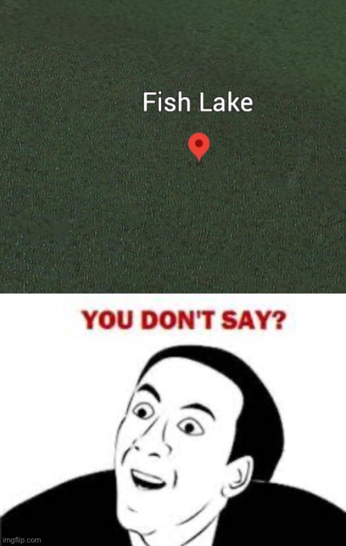 Fish lake | image tagged in weird,fish,lake,google earth | made w/ Imgflip meme maker