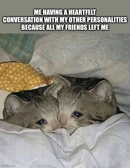 Even my straight personality left me | ME HAVING A HEARTFELT CONVERSATION WITH MY OTHER PERSONALITIES BECAUSE ALL MY FRIENDS LEFT ME | image tagged in cat,sad cat,crying cat,bed cat | made w/ Imgflip meme maker
