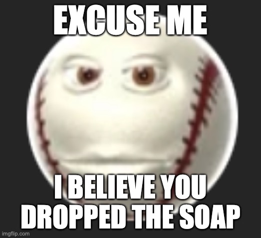 Moment. | EXCUSE ME; I BELIEVE YOU DROPPED THE SOAP | image tagged in memes | made w/ Imgflip meme maker