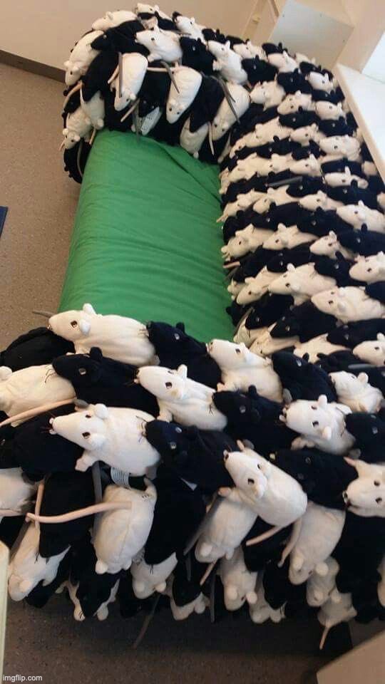 what if we kissed on the rat couch... haha, jk... unless? | made w/ Imgflip meme maker