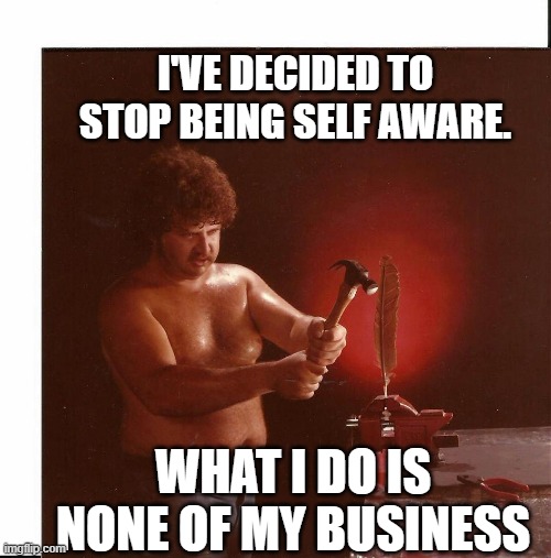 self aware | I'VE DECIDED TO STOP BEING SELF AWARE. WHAT I DO IS NONE OF MY BUSINESS | image tagged in aelf aware | made w/ Imgflip meme maker