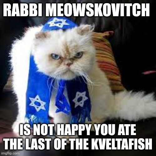 Rabbi kitty | RABBI MEOWSKOVITCH; IS NOT HAPPY YOU ATE THE LAST OF THE KVELTAFISH | image tagged in funny cat memes | made w/ Imgflip meme maker