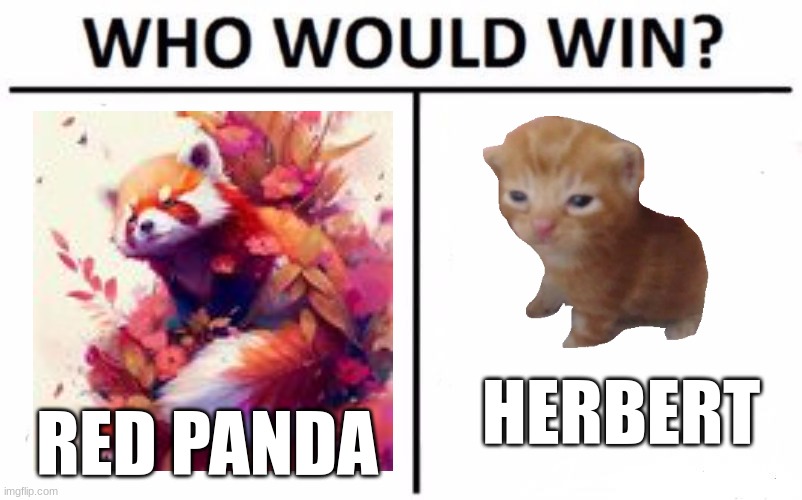 Who Would Win? Meme | HERBERT; RED PANDA | image tagged in memes,who would win | made w/ Imgflip meme maker