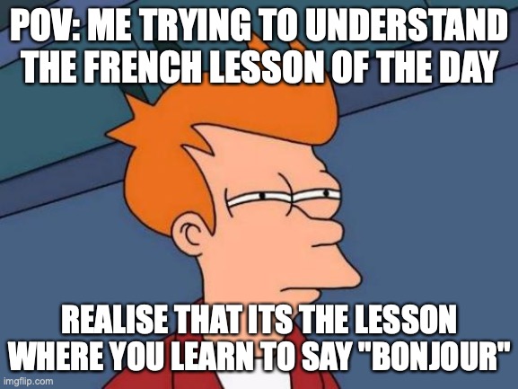 Futurama Fry | POV: ME TRYING TO UNDERSTAND THE FRENCH LESSON OF THE DAY; REALISE THAT ITS THE LESSON WHERE YOU LEARN TO SAY "BONJOUR" | image tagged in memes,futurama fry | made w/ Imgflip meme maker