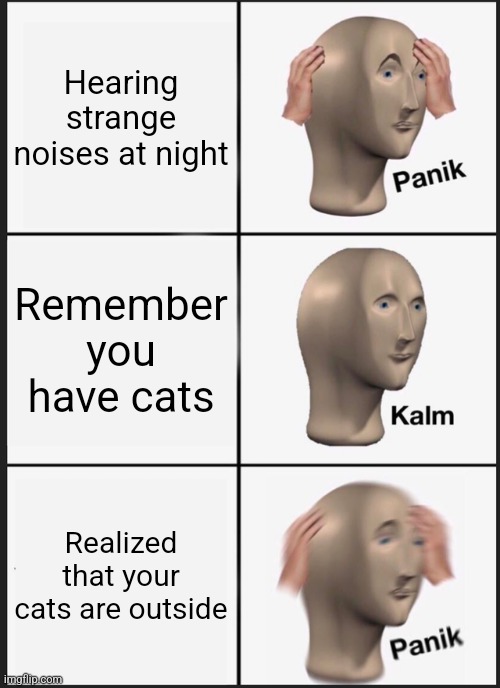This is how horror movie start | Hearing strange noises at night; Remember you have cats; Realized that your cats are outside | image tagged in memes,panik kalm panik | made w/ Imgflip meme maker