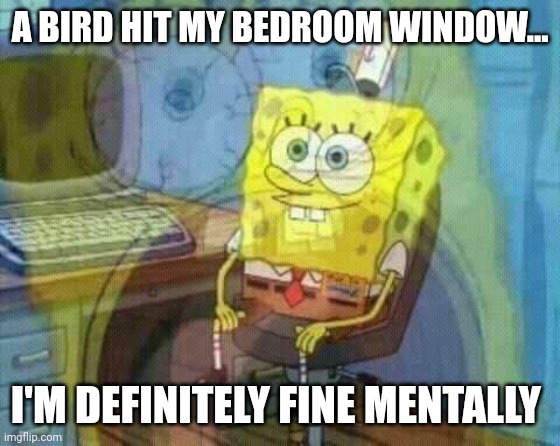 I'm fine mentally... | A BIRD HIT MY BEDROOM WINDOW... I'M DEFINITELY FINE MENTALLY | image tagged in spongebob panic inside | made w/ Imgflip meme maker
