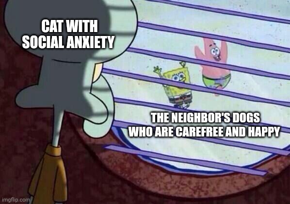When the cat has social anxiety | CAT WITH SOCIAL ANXIETY; THE NEIGHBOR'S DOGS WHO ARE CAREFREE AND HAPPY | image tagged in squidward window | made w/ Imgflip meme maker