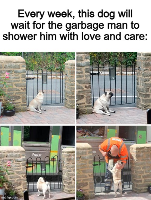 So wholesome :D | Every week, this dog will wait for the garbage man to shower him with love and care: | made w/ Imgflip meme maker