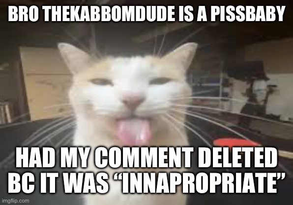 Cat | BRO THEKABBOMDUDE IS A PISSBABY; HAD MY COMMENT DELETED BC IT WAS “INNAPROPRIATE” | image tagged in cat | made w/ Imgflip meme maker