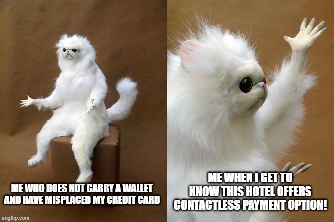 Persian Cat Room Guardian Meme | ME WHEN I GET TO KNOW THIS HOTEL OFFERS CONTACTLESS PAYMENT OPTION! ME WHO DOES NOT CARRY A WALLET AND HAVE MISPLACED MY CREDIT CARD | image tagged in memes,persian cat room guardian | made w/ Imgflip meme maker