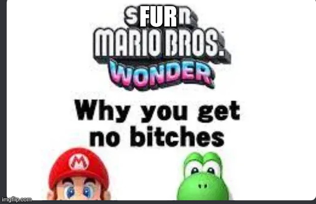 no bitches | FUR | image tagged in no bitches | made w/ Imgflip meme maker