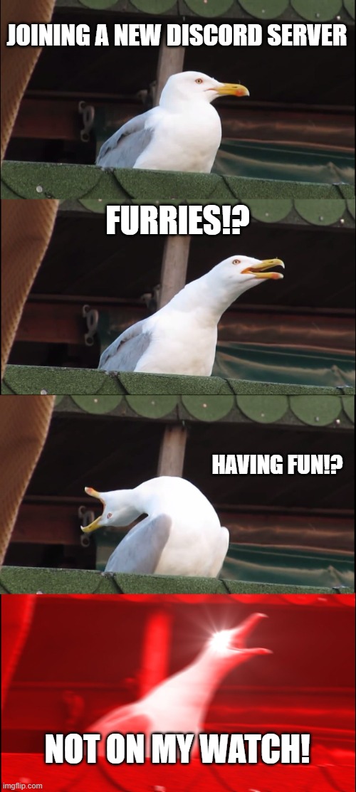 This is meant as a joke, I would never ruin someone else's hobbies. | JOINING A NEW DISCORD SERVER; FURRIES!? HAVING FUN!? NOT ON MY WATCH! | image tagged in memes,inhaling seagull | made w/ Imgflip meme maker