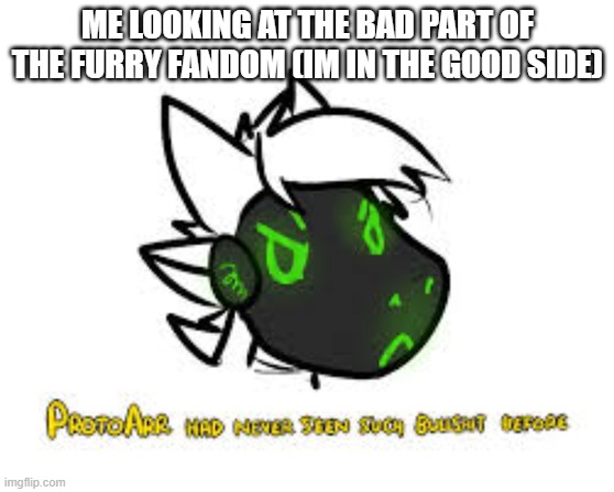 Man i hate this, why people why. | ME LOOKING AT THE BAD PART OF THE FURRY FANDOM (IM IN THE GOOD SIDE) | image tagged in protoarr-has-never-seen-such-bullshit-before | made w/ Imgflip meme maker