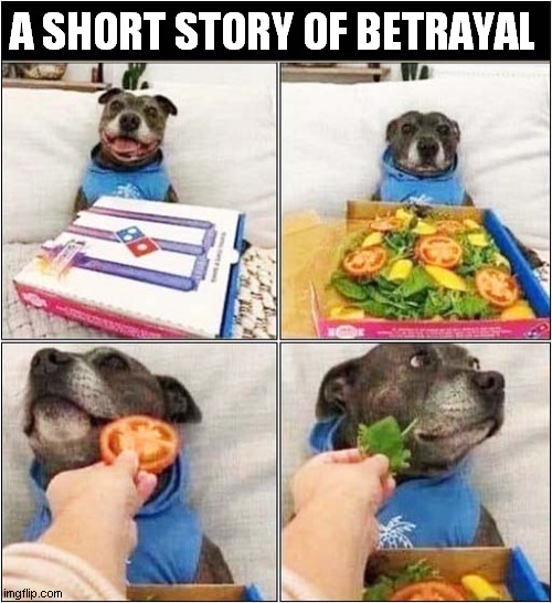 You Deserve A Nice Pizza ! | A SHORT STORY OF BETRAYAL | image tagged in dogs,pizza,vegan,fraud | made w/ Imgflip meme maker